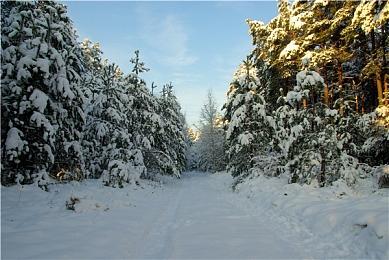 班迪系列新作《班迪：孤狼》Steam页面 明年发售